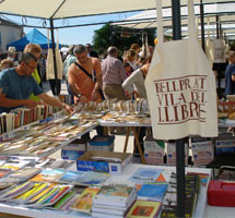 Book Towns, el llibre com a signe d'identitat
