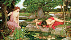 L'afany de dominació de l'ésser humà