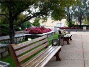 Bancs de fusta esponsoritzats