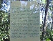 L'atac al Bosc Literari