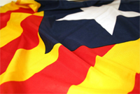La violència de l'Estat contra l'estelada