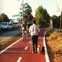 Carrils bici o carrils gos?