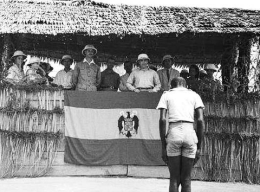 El Tribunal Constitucional de l'amo blanc