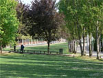 La diàspora juvenil