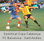 Copa Catalunya i Estat propi