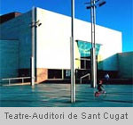 Teatre-Auditori, celebració incompleta