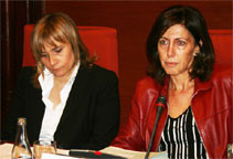 Mitjans hispano-irrellevants