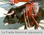 Curses de braus, cultura de la tortura