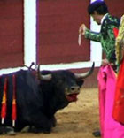 Torturadors amb immunitat cultural
