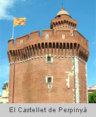 El català a Perpinyà