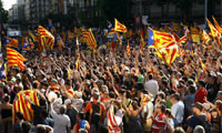 Doctorats en manifestacions